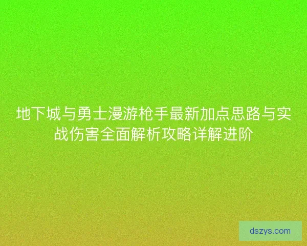 地下城与勇士漫游枪手最新加点思路与实战伤害全面解析攻略详解进阶