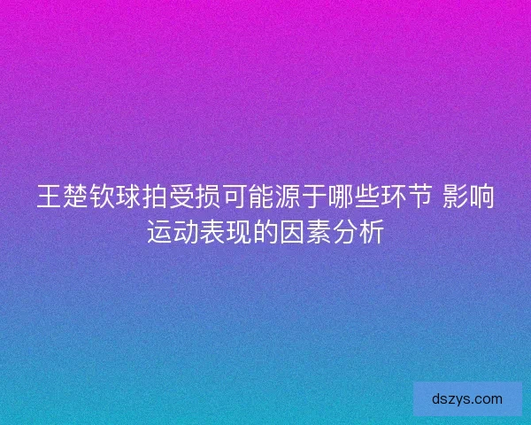 王楚钦球拍受损可能源于哪些环节 影响运动表现的因素分析